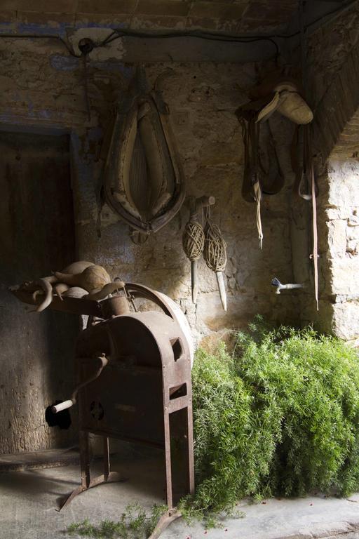 Can Barnosell - Els Masos D'En Coll Llavia Экстерьер фото