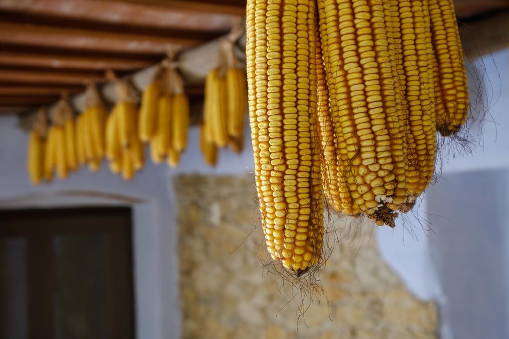 Can Barnosell - Els Masos D'En Coll Llavia Экстерьер фото